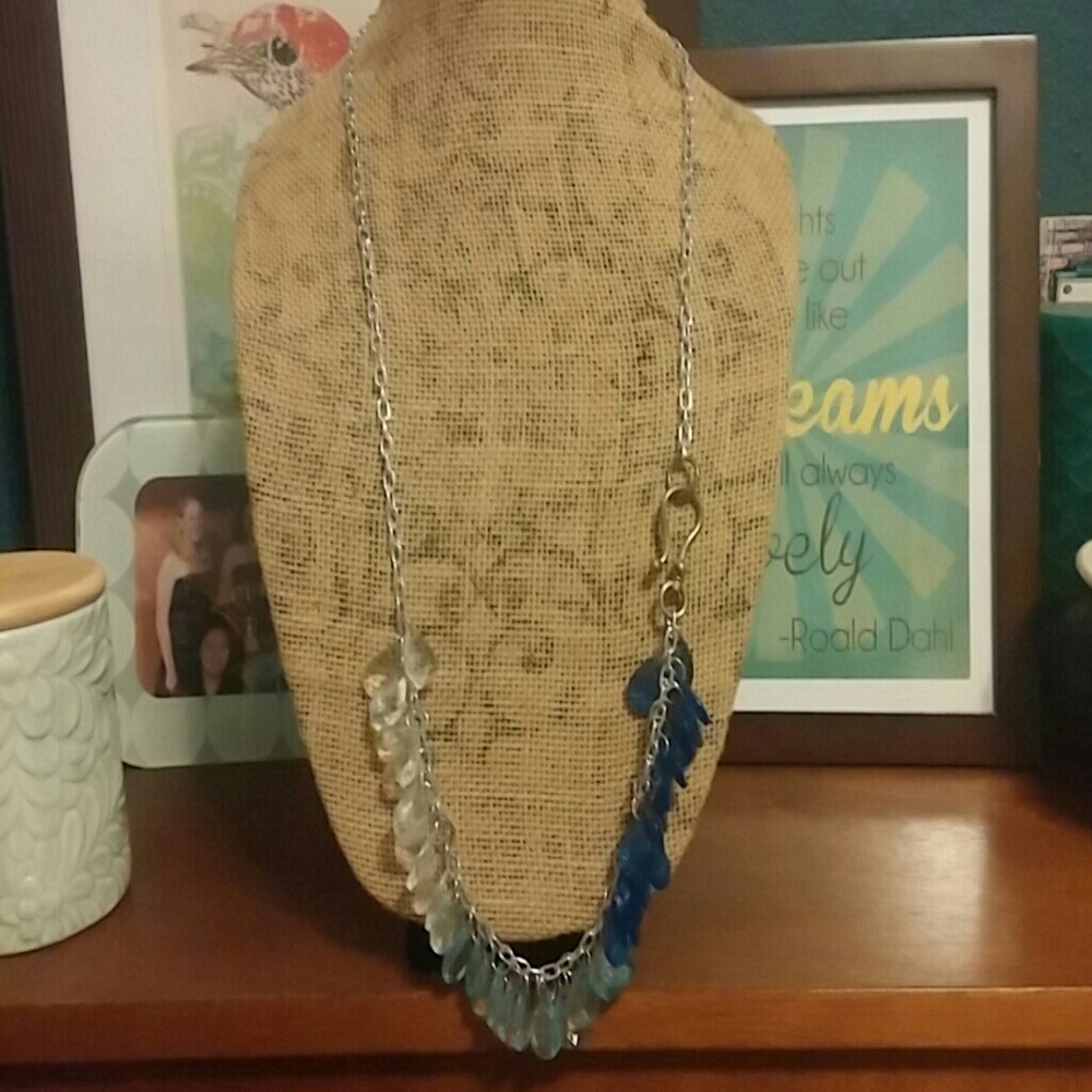 Long Ombre Necklace